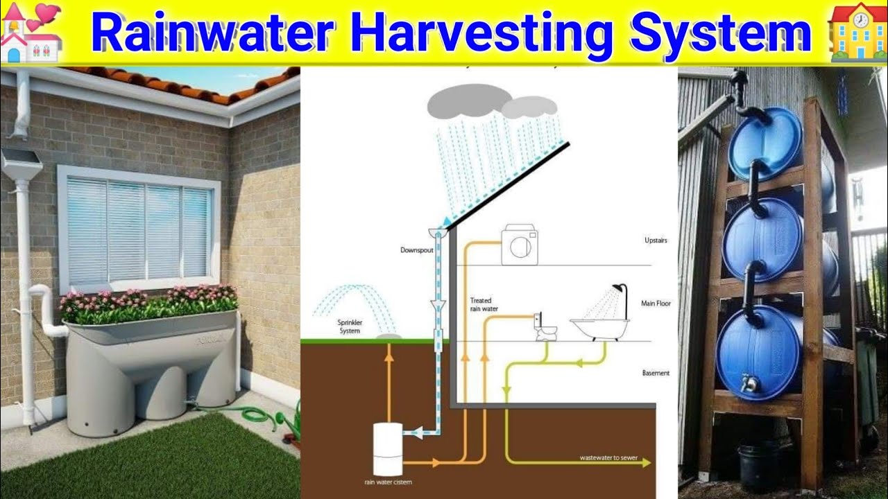 Rainwater harvesting system | Rainwater harvesting drawing |  Rainwater harvesting projects