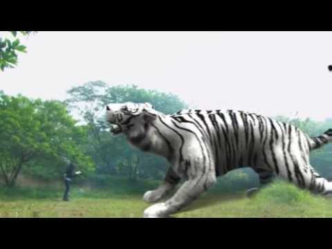 Promo 7 Manusia Harimau (3 Maret 2015)