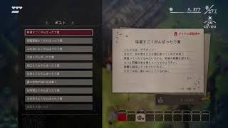 がの暮しの庭　掟の3🔗🔗🔗