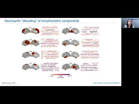 OHBM 2022 | 132 | Talk | Alyssa Dai | Linking morphometric patterns of the psychosis spectrum to c…
