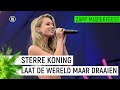 STERRE KONING - LAAT DE WERELD MAAR DRAAIEN | Zapp Muziekfeest op het plein | NPO Zapp