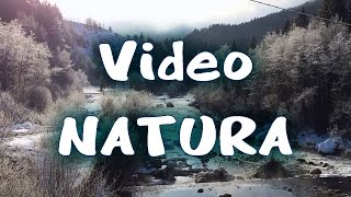 preview picture of video 'Video NATURA. La Cascata in versione INVERNALE'