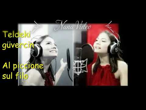 Traduzione e testo sigla Daydremer (Erkenci kus) cantata da Demet Ozdemir  (Sanem)