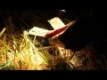 Home Video - "Every Love That Ever Was" 
