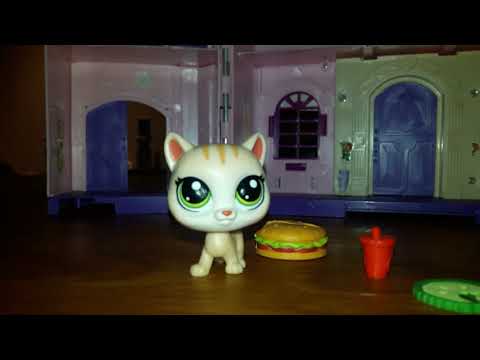 download lagu mp3 mp4 Elias Pet Shop, download lagu Elias Pet Shop gratis, unduh video klip Download Elias Pet Shop Mp3 dan Mp4 Viral Gratis