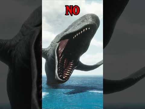 ARK NO 8  #shorts #ark #sigma