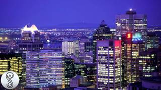 Timeflies Tuesday - Without Me