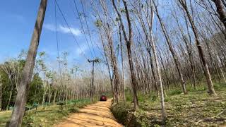 Over 8 Rai of Gently Sloping Land in a Peaceful Phang Nga Area