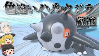 【ポケモンSV】色違いハルクジラを手に入れたい【ゆっくり実況】