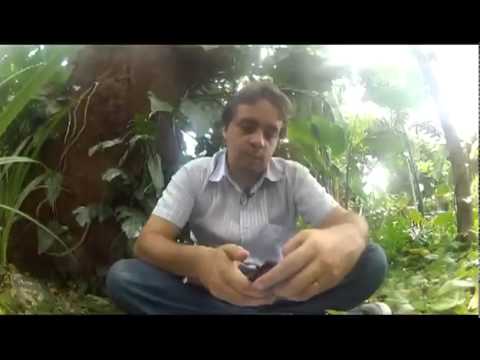 FAQ 141 - Reencarnações, Velas, Transição Planetária, Animismo, Dimensões e Objetos Antigos