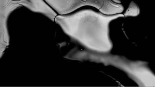 MOON DUO "KILLING TIME" MUSIC VIDEO