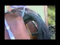 Horse Fart 6