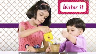 bioQ plantable rakhi