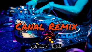 Michael Mind - Hold On ( Diogo Pacinny e Breno Villar Remix)