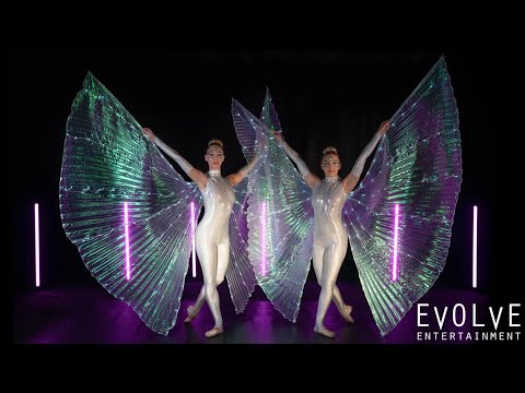 LED Winged Ballerinas