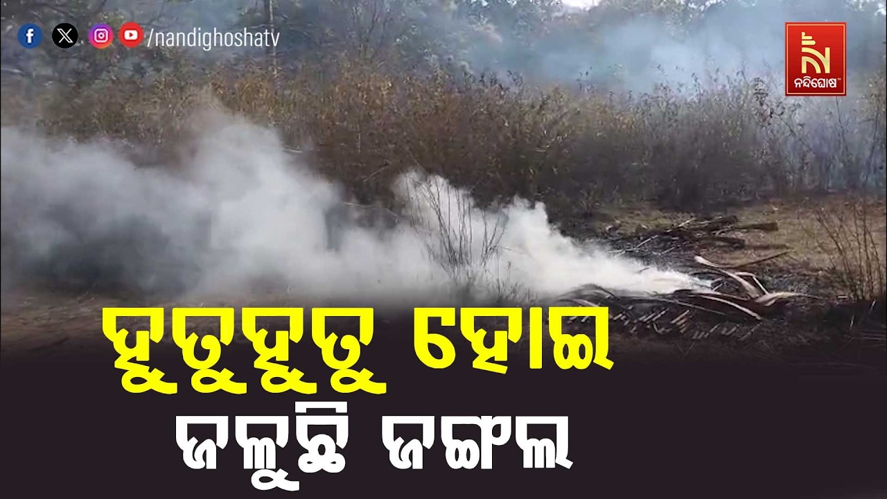 ହୁତୁହୁତୁ ହୋଇ ଜଳୁଛି ଜଙ୍ଗଲ । ପ୍ରାୟ ୨ ହେକ୍ଟରରୁ ଉର୍ଦ୍ଧ୍ବ