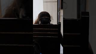 O que elas fizeram gente 😱😱😱 #humor #familia