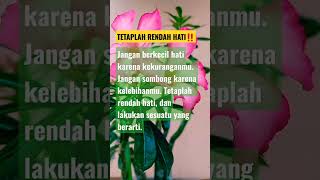 Download lagu Tetaplah Rendah Hati #shorts #quotes #storywa mp3 Download lagu Tetaplah Rendah Hati #shorts #quotes #storywa mp3