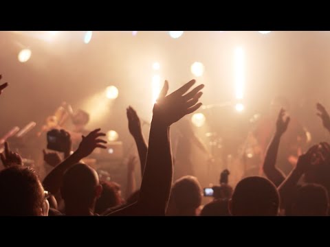 (Tarante Groove Machine // Herbalist (Live