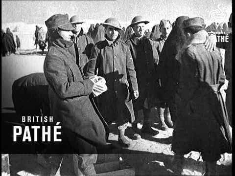 The War In Libya Bardia (1941)