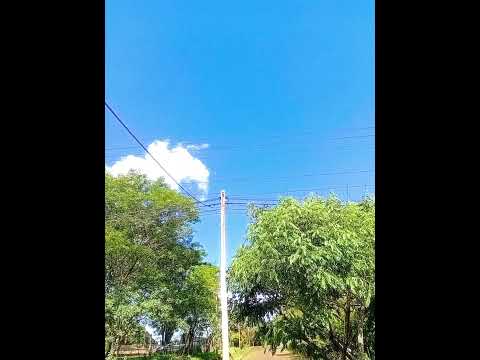 puerto rico misiones  🥵😜👌 dia tranqui  hoy #lofi #sunflower