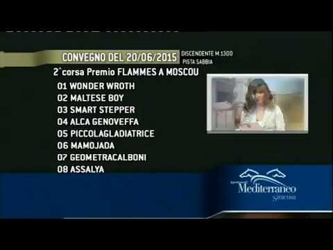 Cavalli & Dintorni Puntata 122