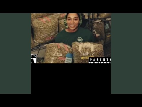 TRAP JUMPING LIKE JORDAN