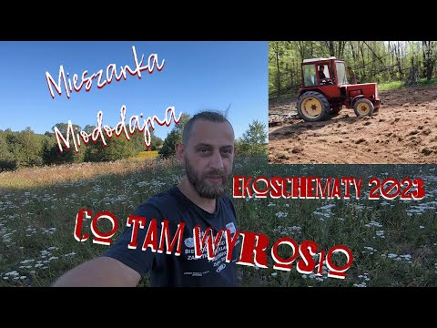 #Ekoschematy 2023 czyli co tam wyrosło u Majstra po zasianiu mieszanki miododajnej