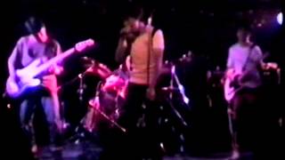 5ive Gears In Reverse