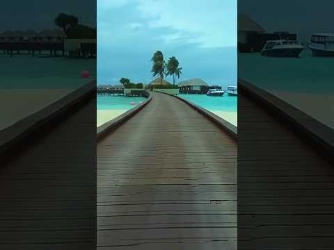 Luxury Overwater Villa in W_Maldives✨ #shorts #trending