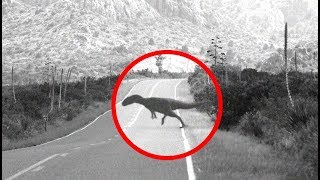 The Africa Monster | Modern Day Dinosaur Sightings In South America?