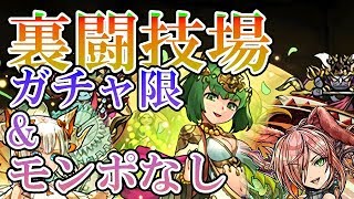 【ゆっくり実況】ガチャ限なしで裏闘技場【パズドラ】