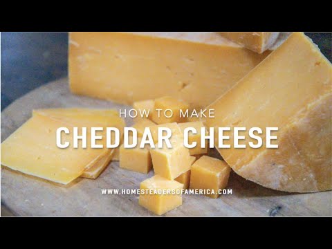 How to Make Cheddar Cheese