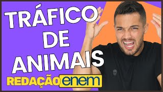 O que escrever sobre TRÁFICO DE ANIMAIS | REDAÇÃO ENEM | PROFINHO da REDAÇÃO