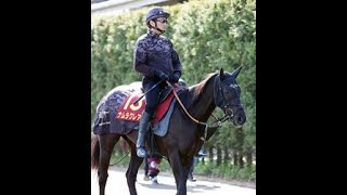【桜花賞】ナムラクレアが巻き返しへ 長谷川調教師「今までで一番いい状態でいける」|Top News
