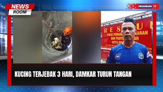 Terjebak Tiga Hari Di Sumur, Kucing Akhirnya Diselamatkan
