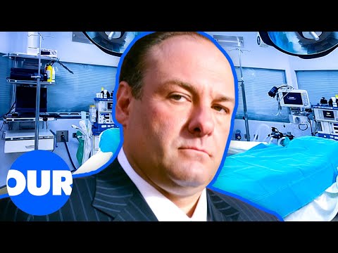 The Last Hours of James Gandolfini - Sopranos Legend | Our History