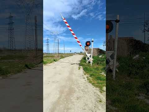 Passaggio a livello di Strada Mirabella - Vignale