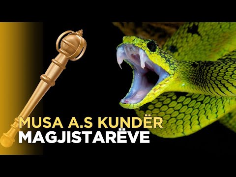 Magjistaret kunder Profetit Musa a.s - Hedhja e shkopit te Musait qe kthehet ne gjarper