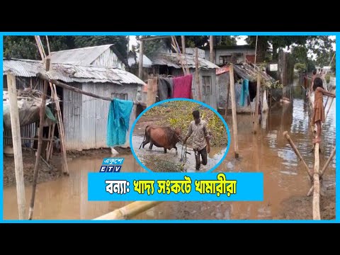 ডায়রিয়া, চর্মরোগসহ পানিবাহিত রোগে আক্রান্ত হচ্ছেন বন্যার্তরা