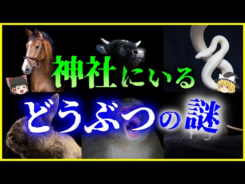 , title : '【ゆっくり生物解説】【神使】なぜ神社にいるのか？神社にいる「どうぶつ」の秘密10選を解説/ウサギや猫も⁉神社と動物の関わりとは'