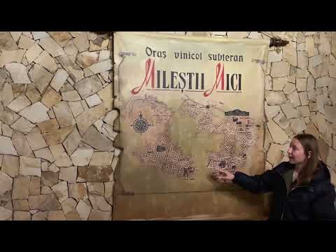 Cramele Milestii Mici, cea mai mare crama din lume!