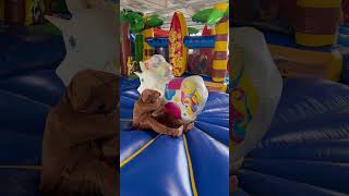 Hoppe, hoppe, Reiter #shorts #kinderlieder #simonesommerland
