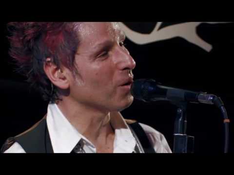 DVD Nei Van Soria - 40 Anos - Susie