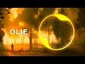 Elektronomia – Summersong 2018 (Slowed + Reverb) | Chill EDM