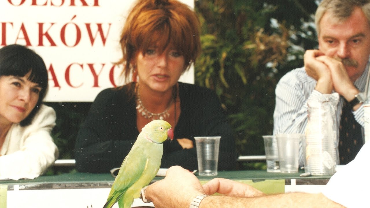 Jury of the “Parrot Chat” 1999