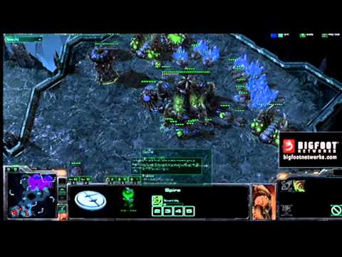 Bigfoot Networks Pro Tip: EG.IdrA vs. dignitas.SeleCT