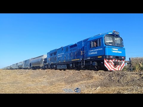 CRRC 9436 + 60 vagones vacios rumbo a Venado Tuerto #trenesargentinoscargas 
