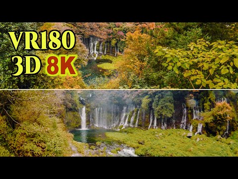 [ 8K 3D VR180 ] 紅葉を迎えた「白糸の滝・音止の滝」（静岡県 富士宮市）