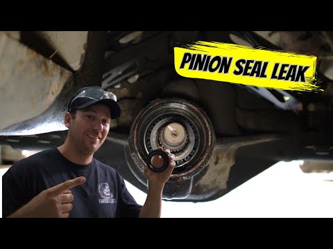 Jeep JK Dana 44 rear pinion seal replacement!